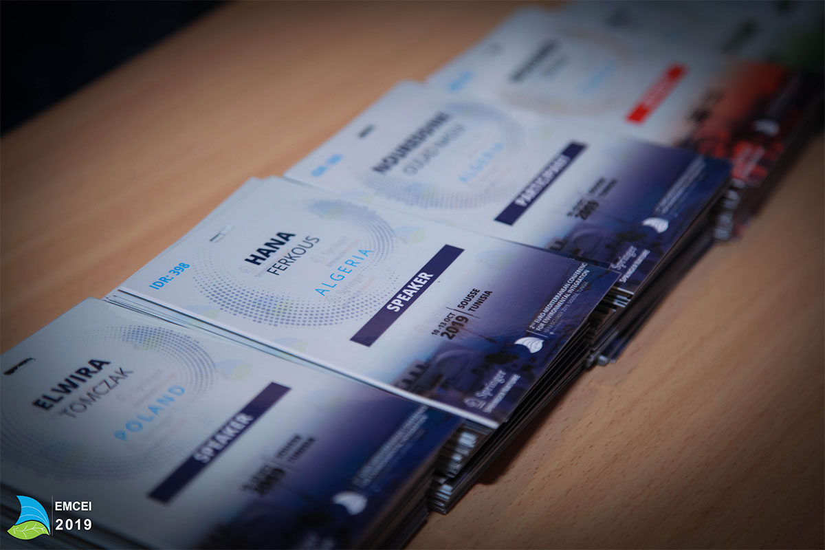 EMCEI 2019 EMCEI 2019