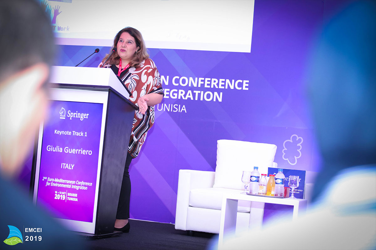 EMCEI 2019 EMCEI 2019