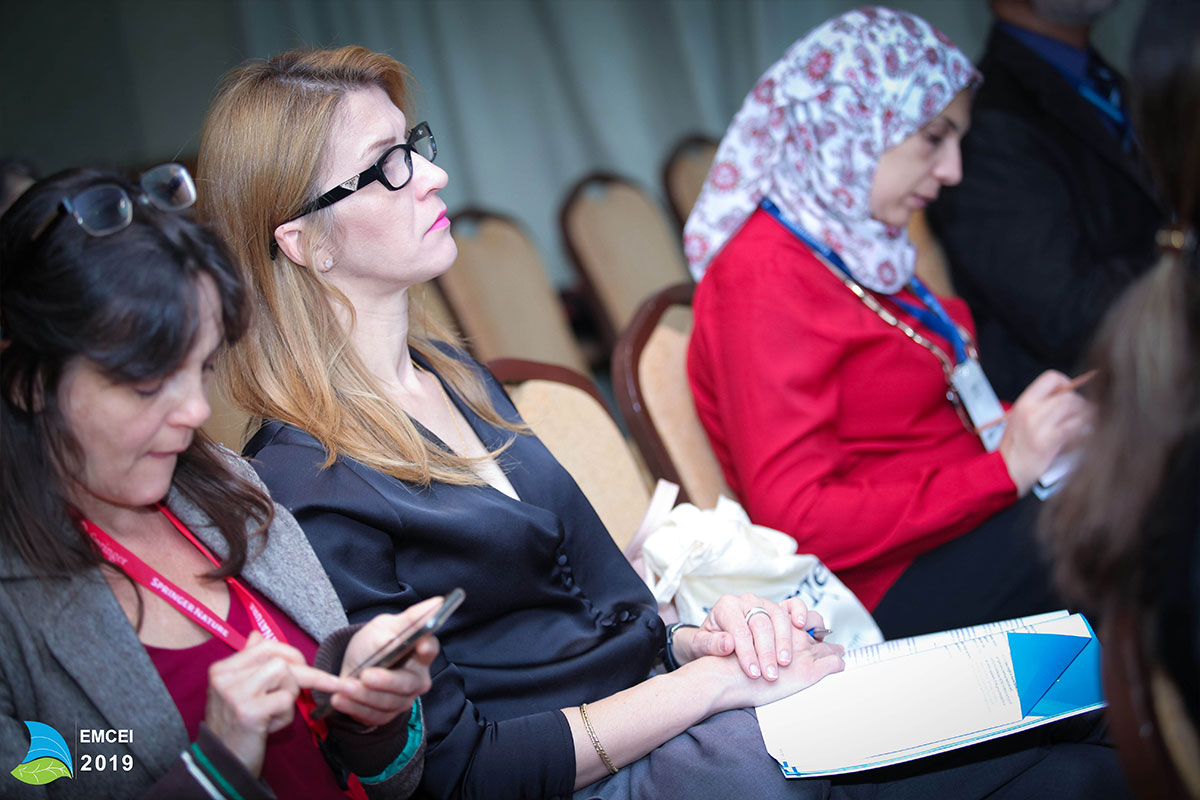 EMCEI 2019 EMCEI 2019