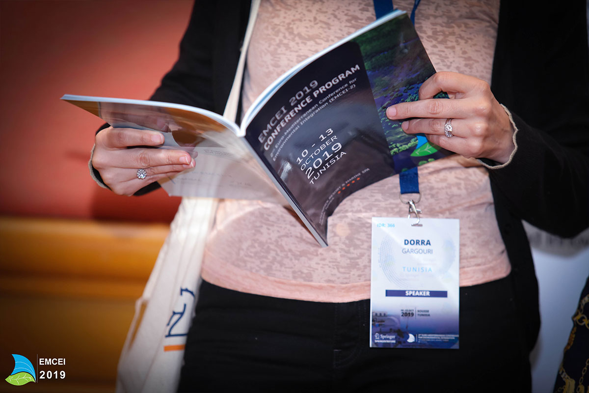 EMCEI 2019 EMCEI 2019