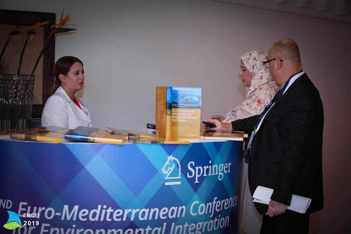 EMCEI 2019 EMCEI 2019