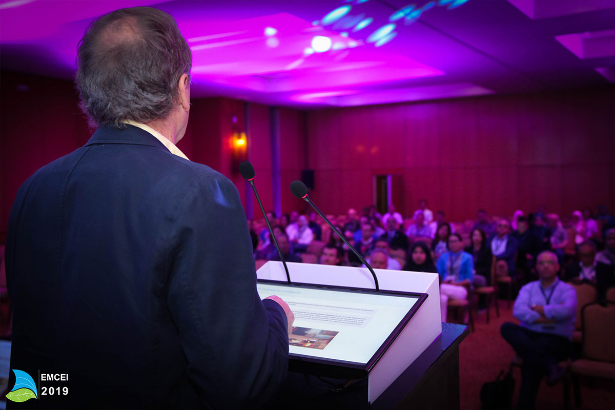 EMCEI 2019 EMCEI 2019